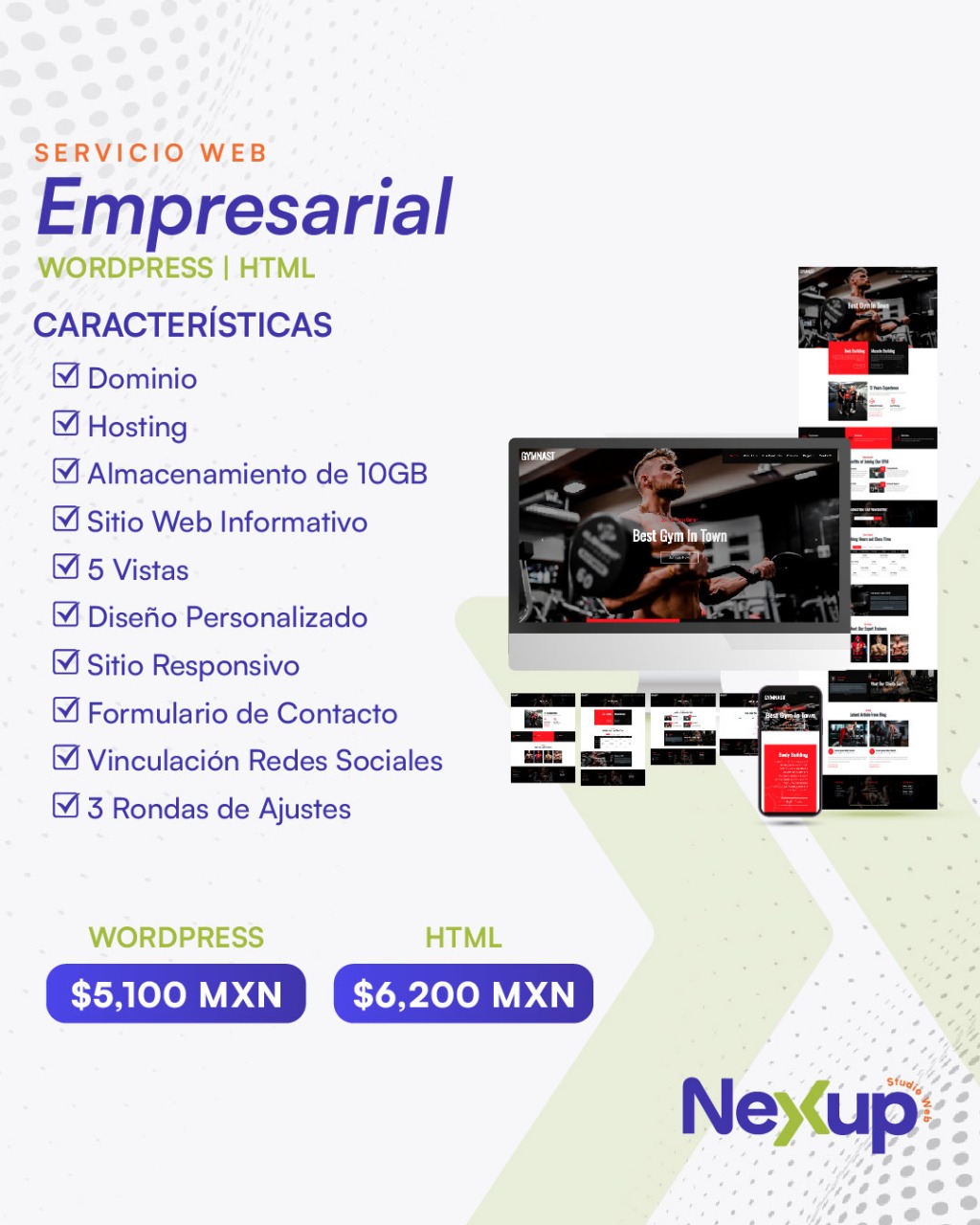 Paquete Desarrollo Web Personalizado - Nexup Studio